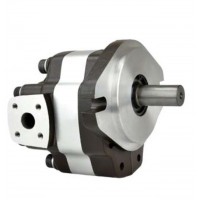G5-5,G5-6,G5-8,G5-12-1E13S-20-R,G5-10,G5-12,G5-16,G5-30-1E13S-20R，G5-20,G5-25,G5-30,G5-25-A13S-20-R，單聯(lián)齒輪泵